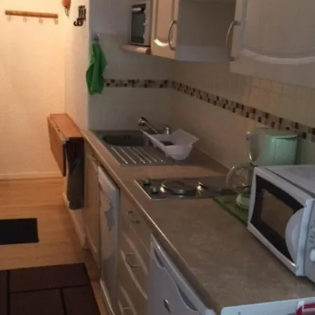 Renove Avec Acces Direct Aux Pistes - Le Roi Soleil, Le Sauze, 04400 - Fr-1-165a-31 Apartment Enchastrayes