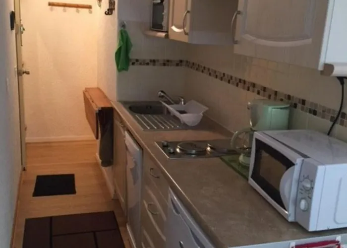 Renove Ski-in Ski-out, Parking Inclus - Fr-1-165a-31 Apartment Enchastrayes